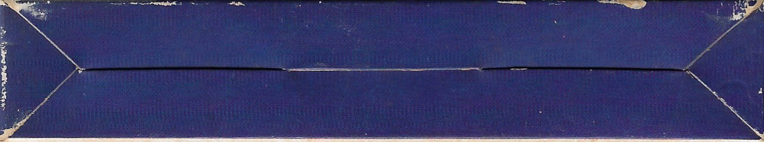 Mega Man IV  BRA Box Bottom